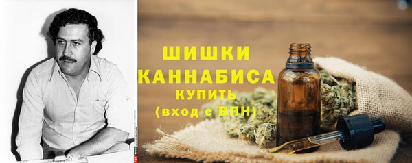 ПСИЛОЦИБИНОВЫЕ ГРИБЫ Балабаново