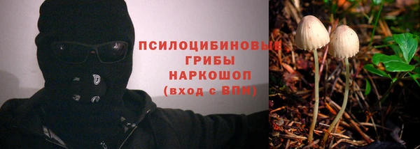 прущая мука Белокуриха
