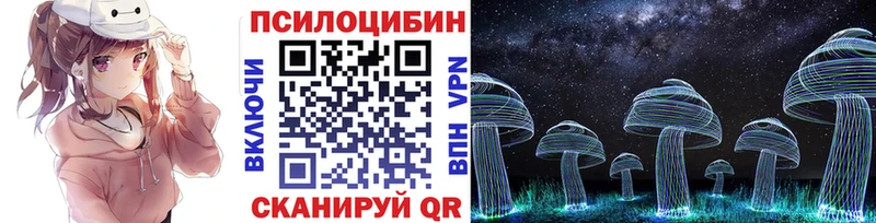 blacksprut   Чапаевск  Псилоцибиновые грибы Magic Shrooms 